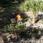 article image -